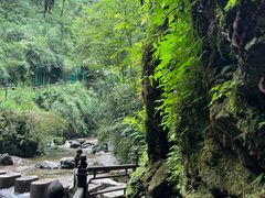 -峨眉山风景名胜区