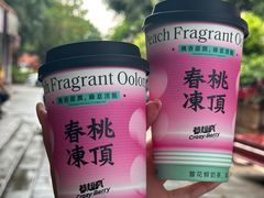 -莓超疯(百源店)