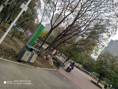 -长白岛森林公园