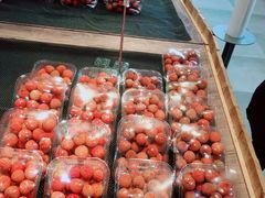 -果蔬好生活超市(乐堤港店)