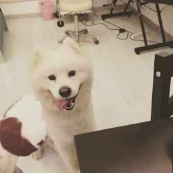 点击看大图 -英刺青 纹身 洗纹身
