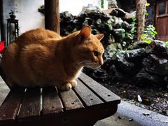 -小雅青年旅舍(平江路店)