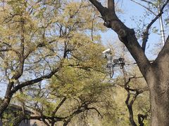 -四季民福烤鸭店(故宫店)