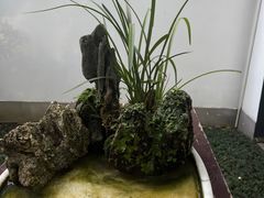 -成都杜甫草堂博物馆