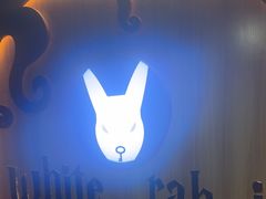 -白兔子密室(长寿路店)