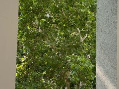 -湖北美术学院(昙华林校区)