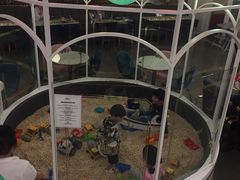 -Lilliput粒粒堡亲子餐厅(置汇旭辉店)