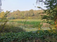 -云岗森林公园