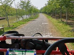 -上海海湾国家森林公园