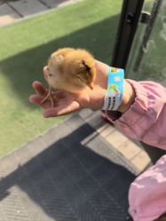 -268童话露营农场·烧烤·团建