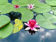-常德桃花源景区