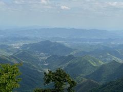 -天目山大树王景区