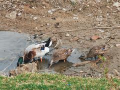 -长春市南湖公园