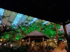 -沈阳龙润夏宫温泉水乐园