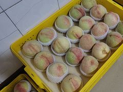 -老袁家蜜桃农场·阳山水蜜桃