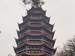 -铁山坪森林公园