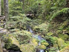 -海南热带雨林国家公园吊罗山景区