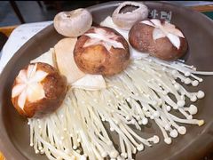 -农乐园炭火烤肉(世茂店)