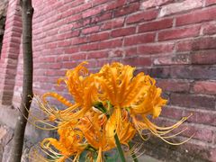 -东南悬空寺方广岩