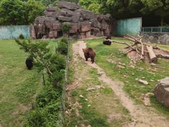 -无锡动物园·太湖欢乐园