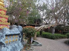 -瑞丽独树成林风景区