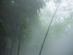 -老王烫面角(北京路店)