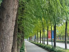 -上海长兴岛郊野公园