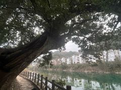 -新安江山水画廊风景区