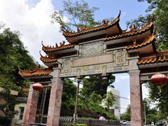 -广州市流溪河国家森林公园