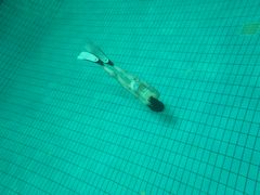 -重庆市奥林匹克体育中心-游泳跳水馆