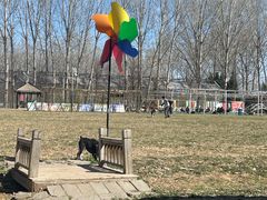 -宠乐会宠物乐园