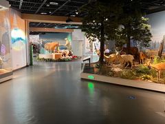 -陕西自然博物馆