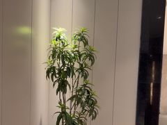 -东方威尼斯温泉酒店