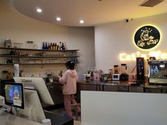 -猫域·湾主题猫咖·宠物吧(南坪城市广场店)