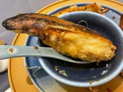 -淮食·雅宴(北大博雅国际酒店)