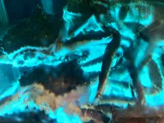 -稻香(马头围道店)