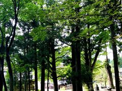 -白川乡与五箇山的合掌构造村落