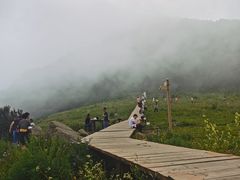 -白草畔自然风景区