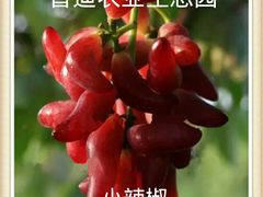-普迪生态园