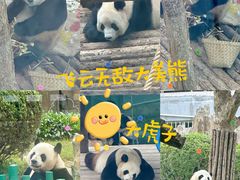 -大连森林动物园