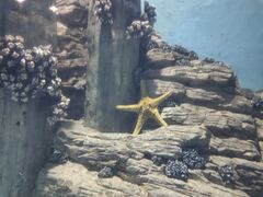 -苏州海洋馆
