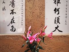 -寂照庵