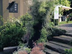 -怪咖·joker陈楠