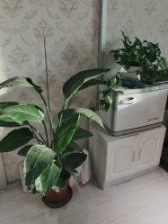 -茜茜美妍堂·华熙生物·甜朵体验中心