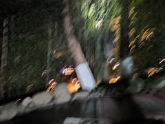 -三江森林温泉度假区