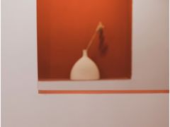 -LuluCake·路鹿蛋糕