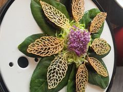 -梧桐舍那(梧桐山店)