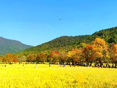 -塔川景区