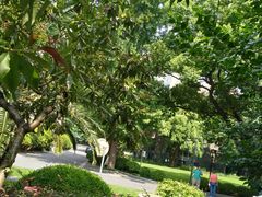 -上海市第八中学