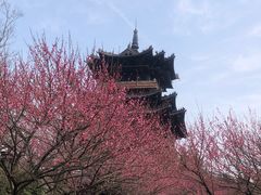 -杭州半山国家森林公园